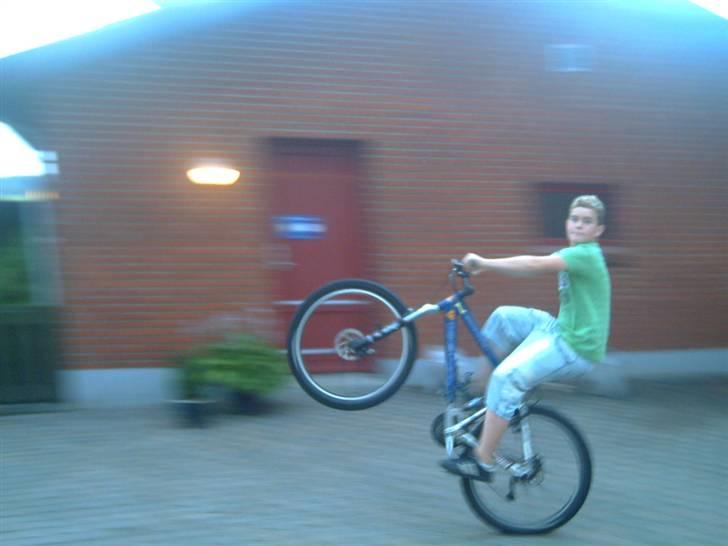 Kona dawg matic Solgt billede 15