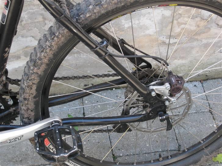 Principia msl pro billede 6