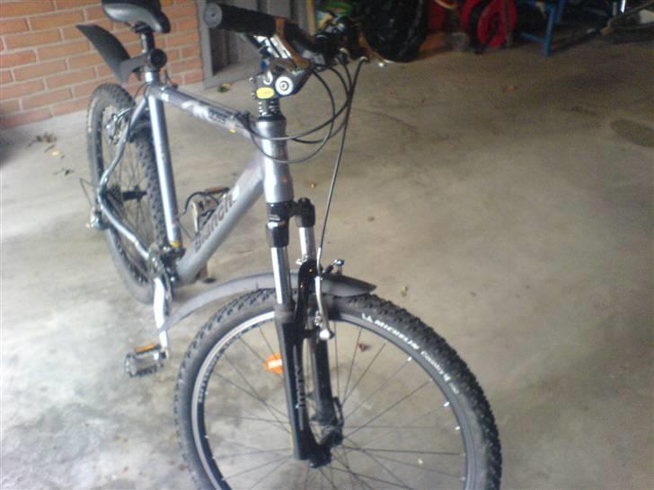 Bianchi Doss 6100 billede 1