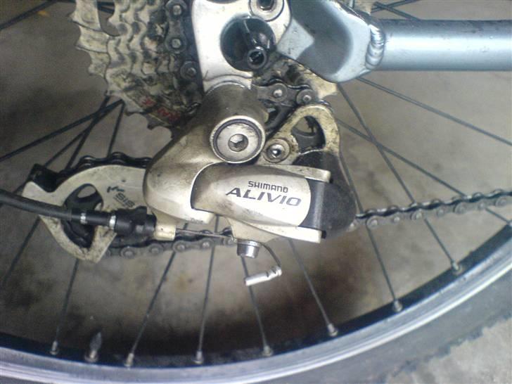 Bianchi Doss 6100 billede 4