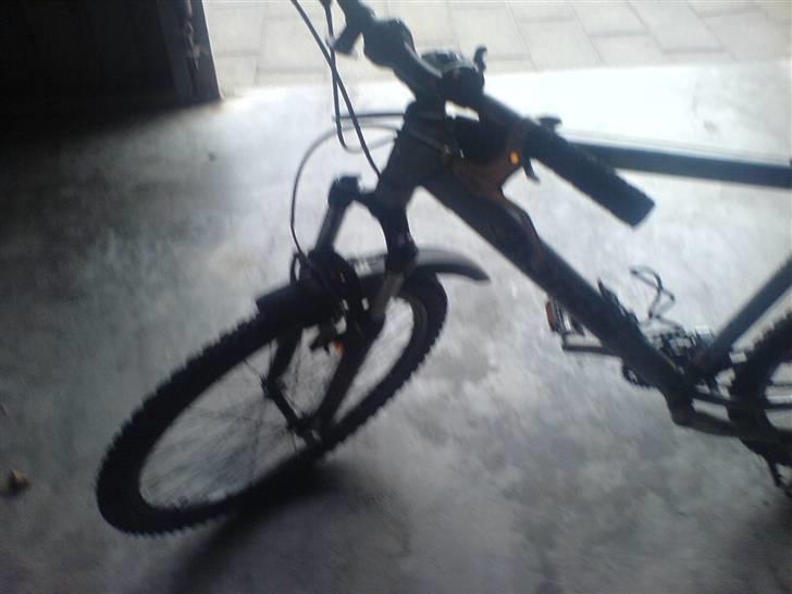 Bianchi Doss 6100 billede 10