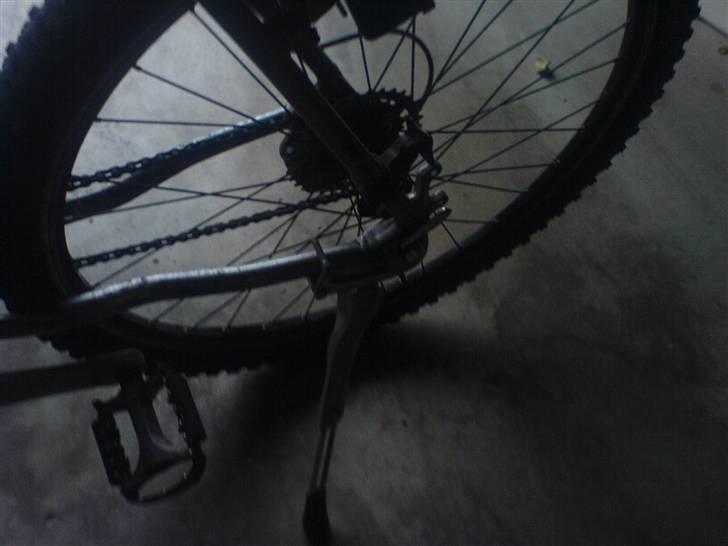 Bianchi Doss 6100 billede 12