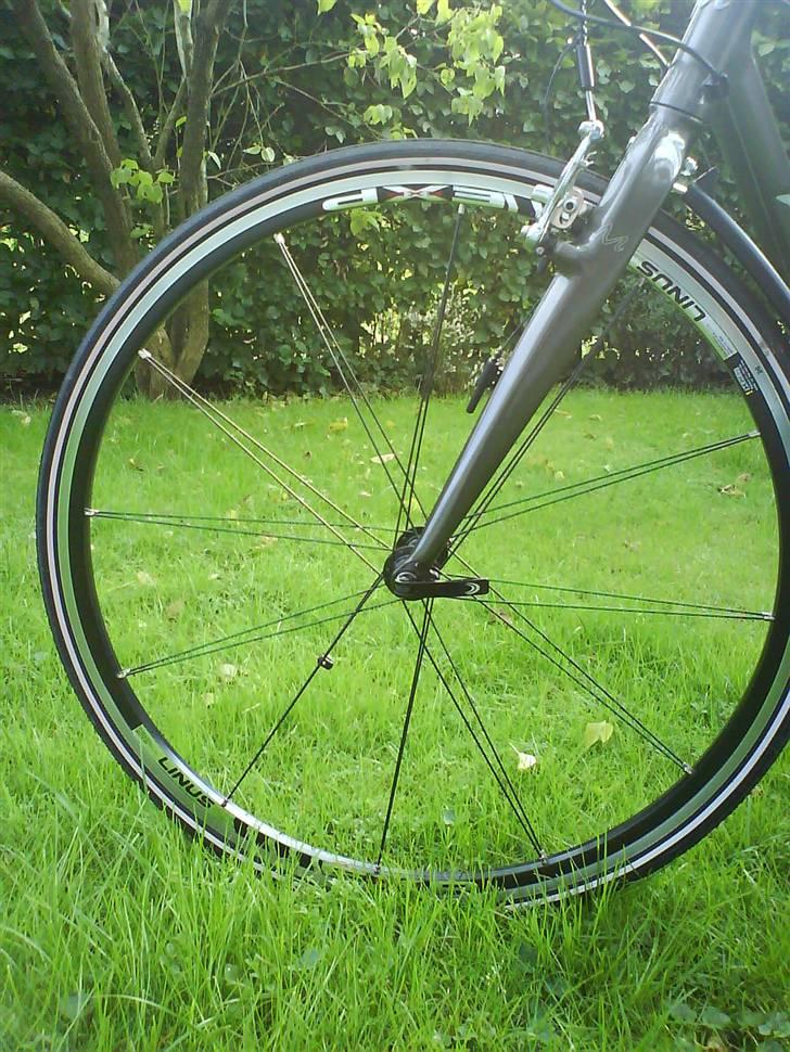 Mikado Cronos SL *STJÅLET* billede 2