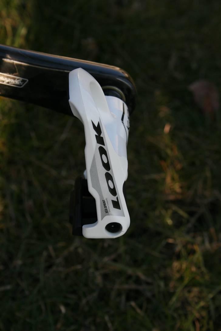Focus Izalco Team *DØD* billede 18