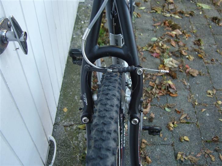 Focus Mares Cross 2008 billede 4