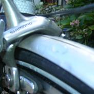 Batavus X-Clusive 06 [STJÅLET]