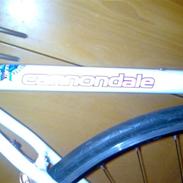 Cannondale Advanced 