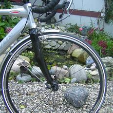 Batavus X-Clusive 06 [STJÅLET]