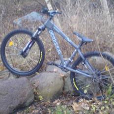 Kona shred 2007