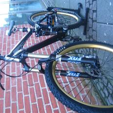 Trek Fuel ex 8
