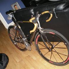Black Bull Gold Carbon
