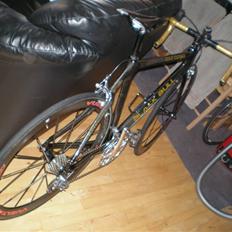 Black Bull Gold Carbon