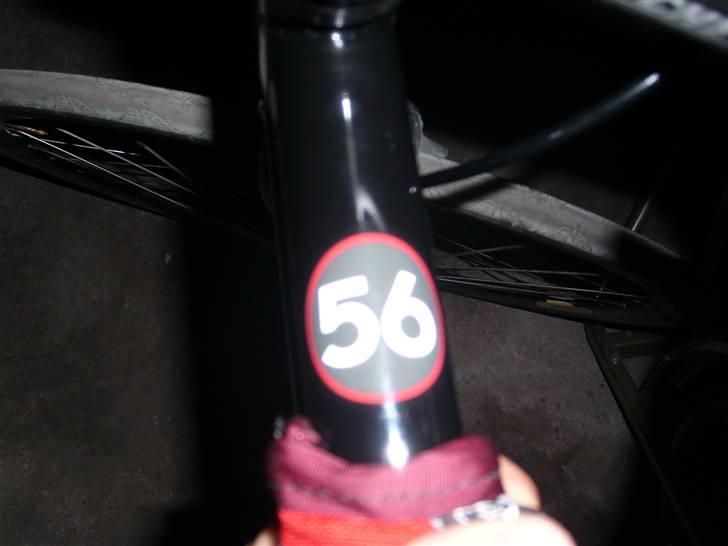 Vision spirit billede 6