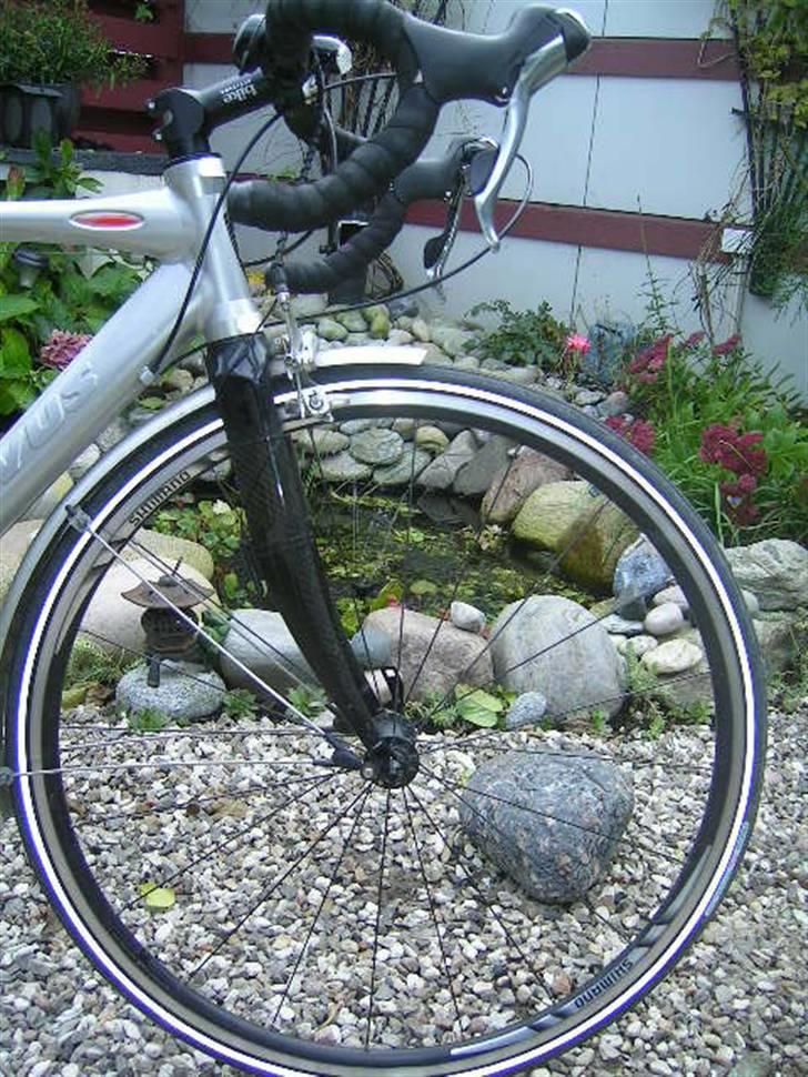 Batavus X-Clusive 06 [STJÅLET] billede 3
