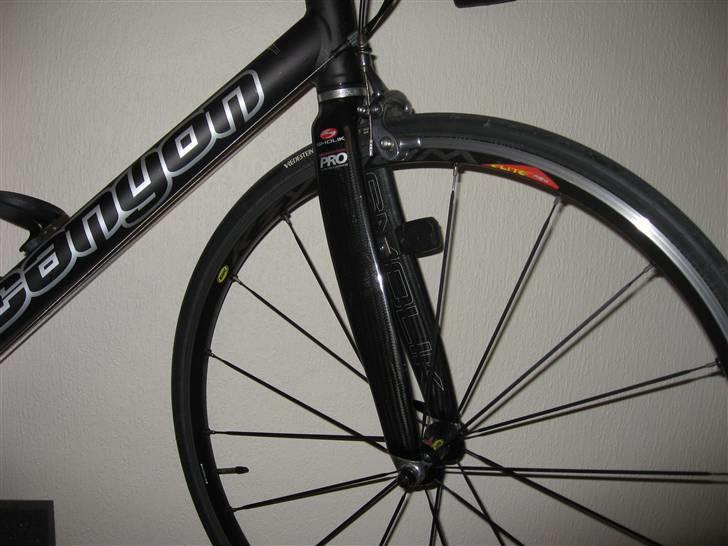 Canyon Passione Elite billede 2