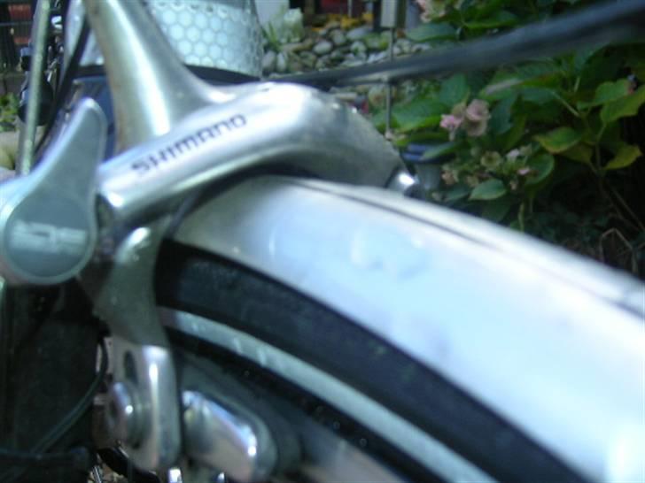 Batavus X-Clusive 06 [STJÅLET] billede 5