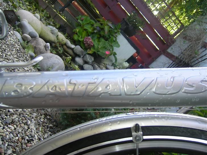 Batavus X-Clusive 06 [STJÅLET] billede 10
