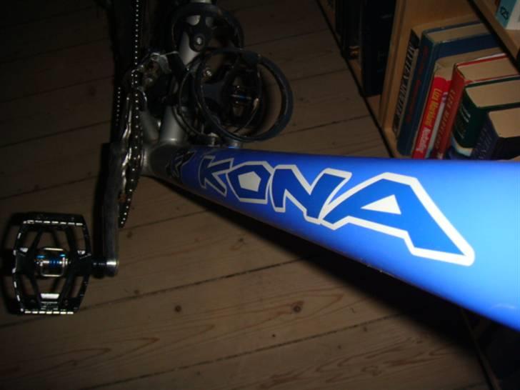 Kona kula primo scandium billede 9