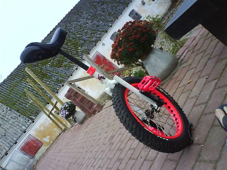 Koxx-one pearl devil billede 2