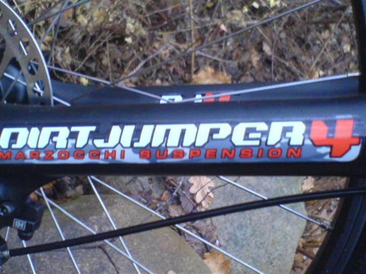 Kona shred 2007 billede 5
