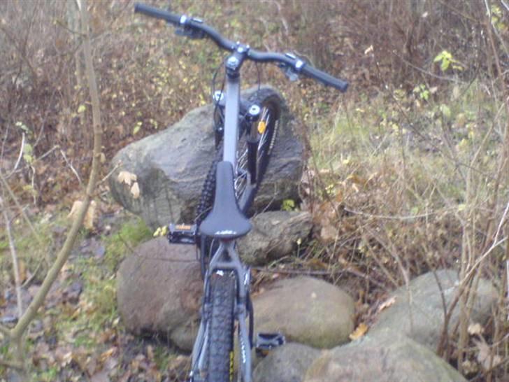 Kona shred 2007 billede 9