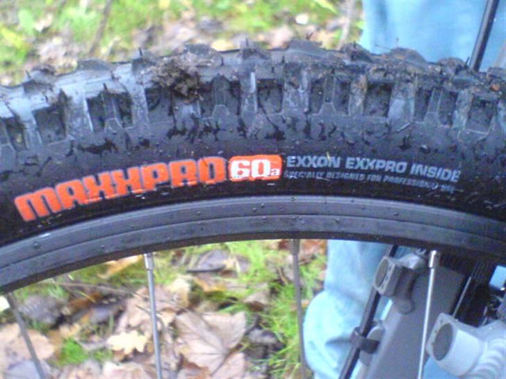 Kona shred 2007 billede 13