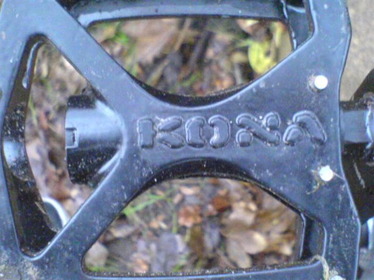 Kona shred 2007 billede 15