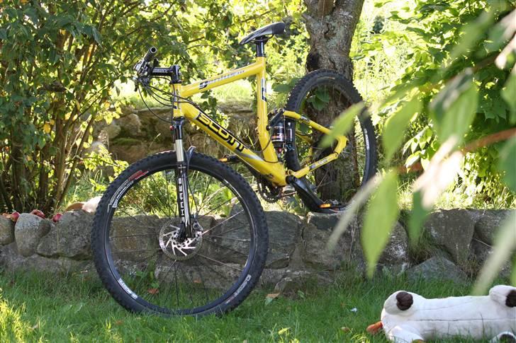 Scott genius RC 30 billede 1