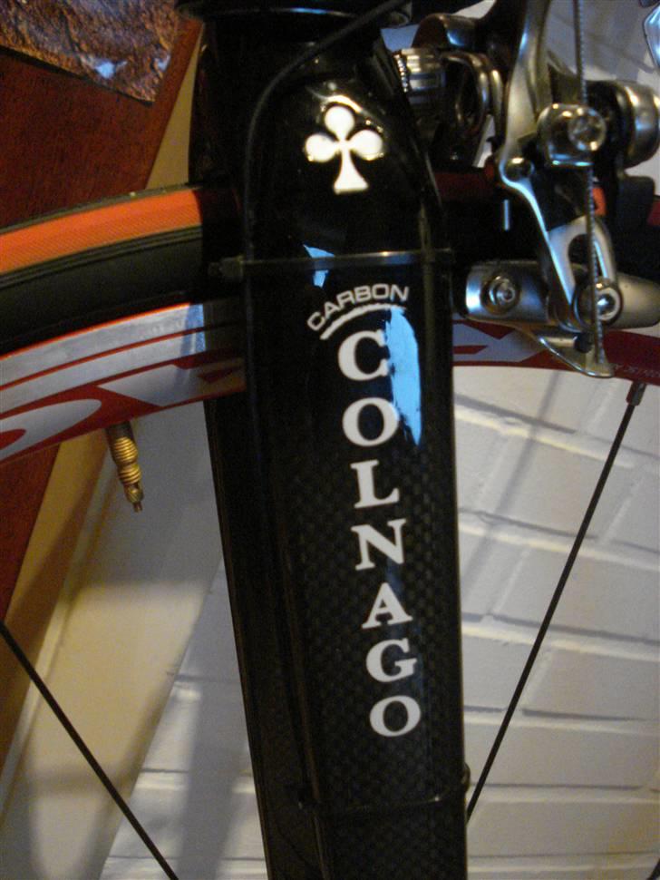 Colnago Active "DREAM" billede 3