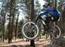 MTB`erne