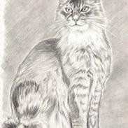 Mine Kruseduller og klat malerier