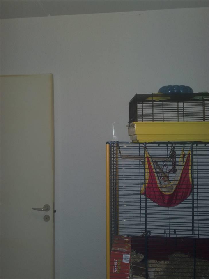 Rotte Bur billede 2