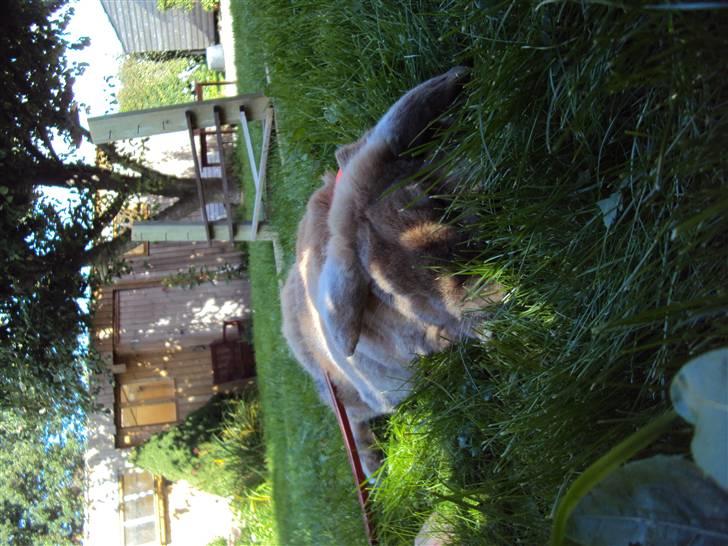 Modelbilleder af Viktor :D billede 8