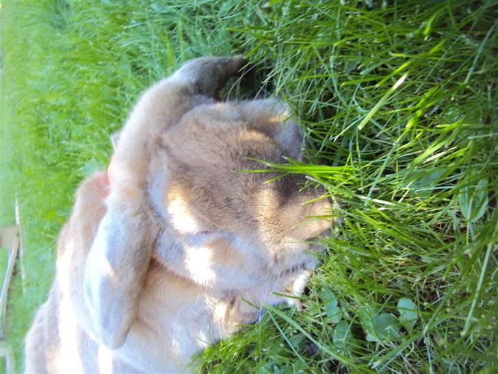 Modelbilleder af Viktor :D billede 9