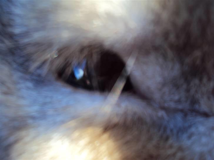 Modelbilleder af Viktor :D billede 10