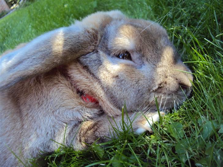 Modelbilleder af Viktor :D billede 13