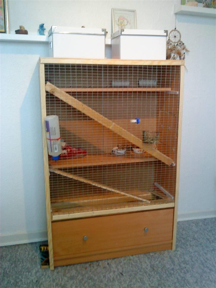 Hjemmelavet degu bur billede 1