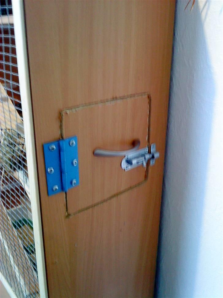 Hjemmelavet degu bur billede 2