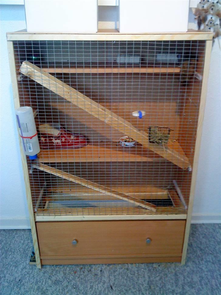 Hjemmelavet degu bur billede 5