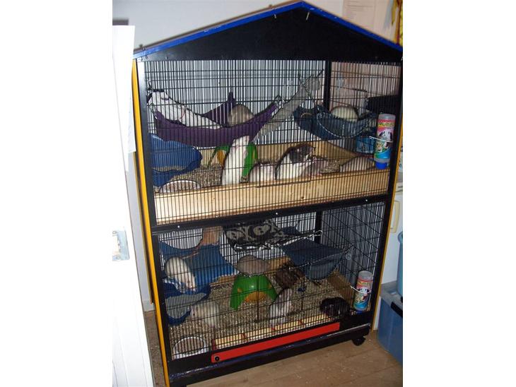 {{currentPhoto.altText}} billede {{currentPhoto.number}}