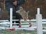 Hopdag hos stald snip D. 12/12-2010 - Super hopper Amazing Grace! <3 syygo! <3 :P