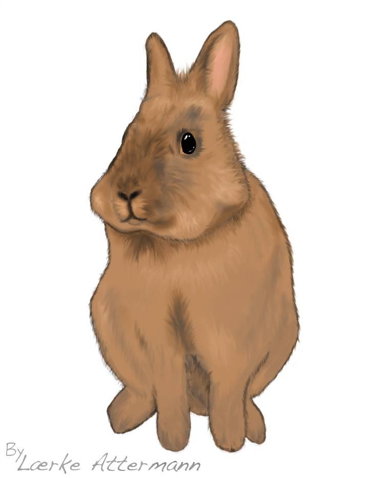 Kreative ting... billede 22