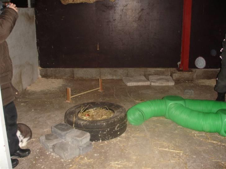 KaninLegeplads! - Lille Oversigt billede 1