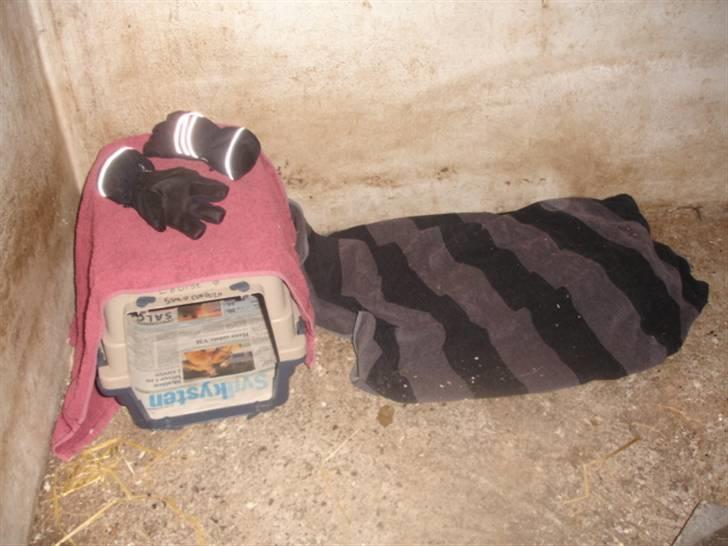 KaninLegeplads! - Lille hyggehjørne billede 3