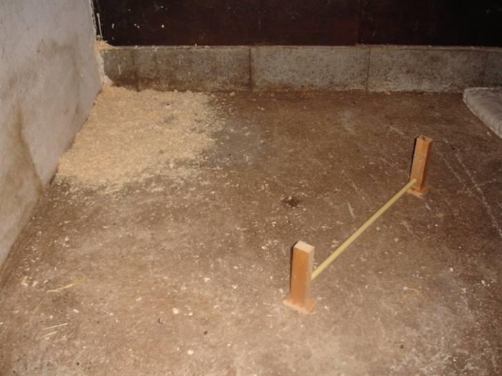 KaninLegeplads! - Lille spring, og tissehjørne billede 4