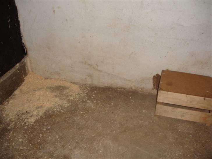 KaninLegeplads! - Lille ting, de står på :p billede 6