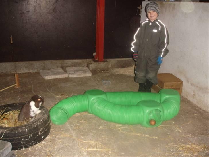 KaninLegeplads! - Hihi billede 9