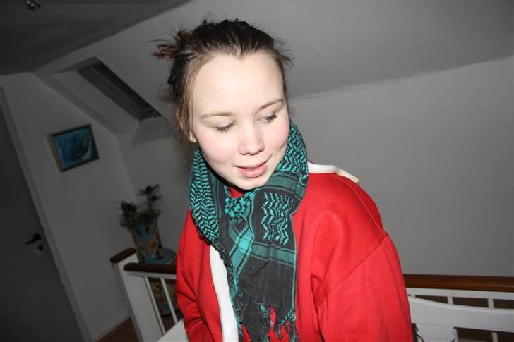 Mine Slanger - Mig med den ene kornsnog.
Det er en han. billede 6