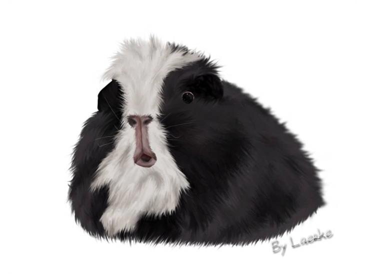 {{currentPhoto.altText}} billede {{currentPhoto.number}}