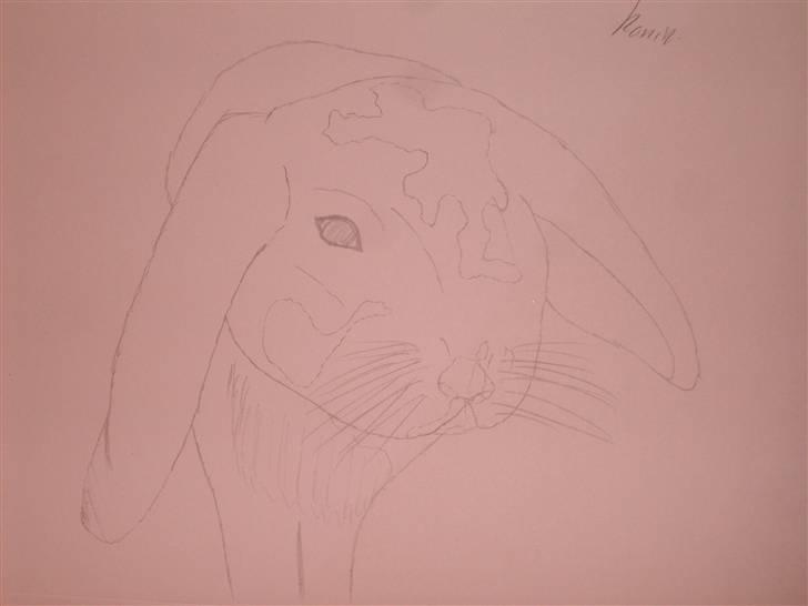 Mine tegninger :D - Navn kommer billede 6